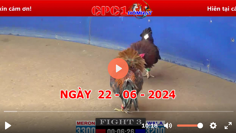 Đá gà CPC1 ngày 22-06-2024