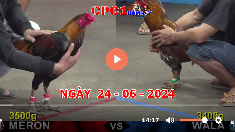 Đá gà CPC1 ngày 24-06-2024