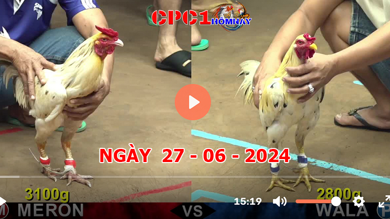 Đá gà CPC1 ngày 27-6-2024