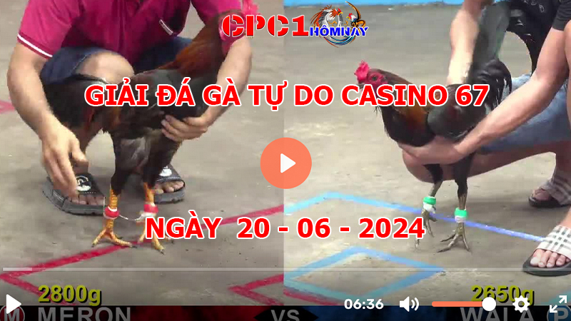 Giải Gà Tự Do CPC1 ngày 20-06-2024 tại Casino 67