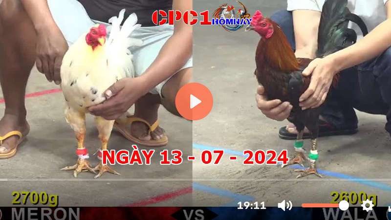 Đá gà CPC1 ngày 13-7-2024