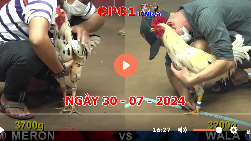 Đá gà CPC1 ngày 30-7-2024