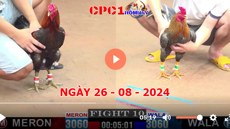 Đá gà CPC1 ngày 26-8-2024