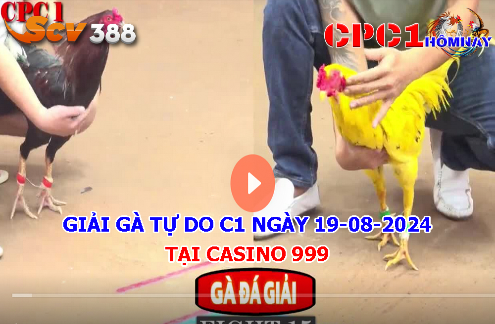 Giải Gà Tự Do CPC1 ngày 19-08-2024 tại Casino 67