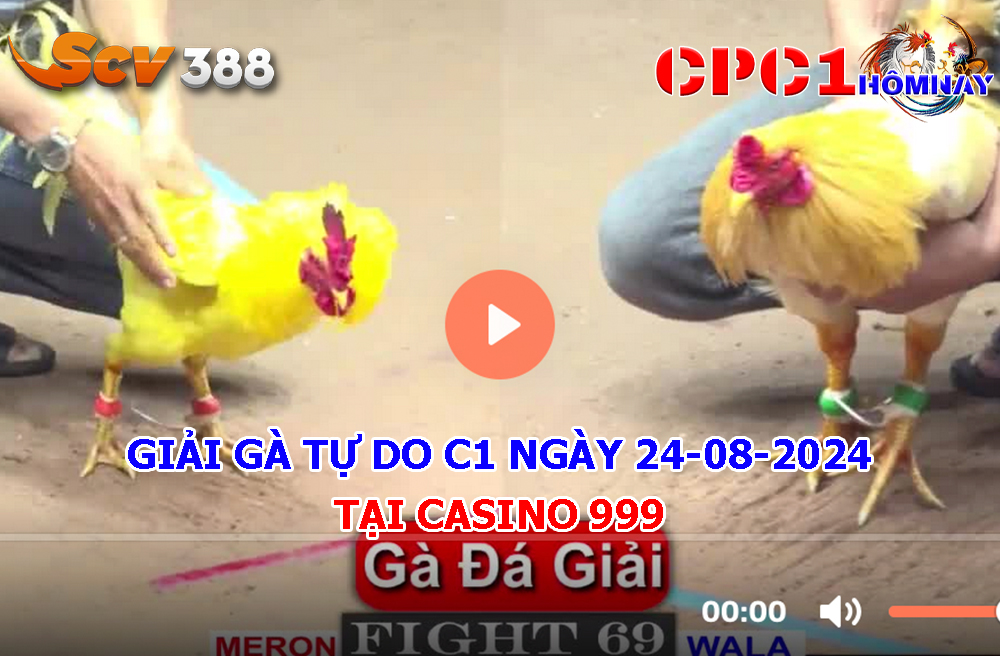 Giải Gà Tự Do CPC1 ngày 24-08-2024 tại Casino 67