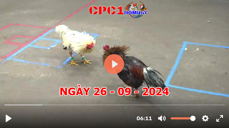 Đá gà CPC1 ngày 26-9-2024