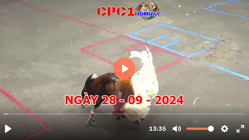 Đá gà CPC1 ngày 28-9-2024